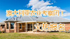 第3張